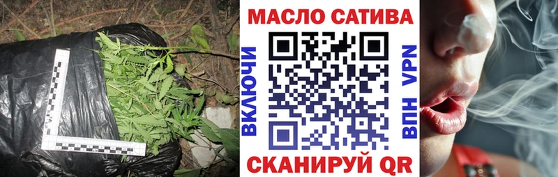 Купить закладки  Шахунья  ТГК жижа 